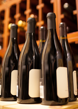 Wine Cellar at Norman's Liquors and Fine Wines