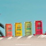 Casamigos Margarita Variety 8pk